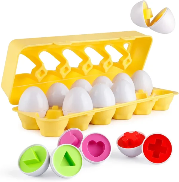 Jeux Montessori Œufs